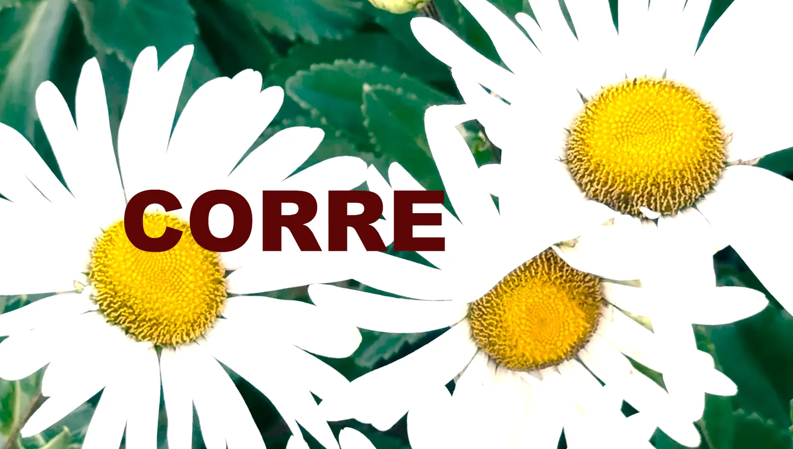 Corre