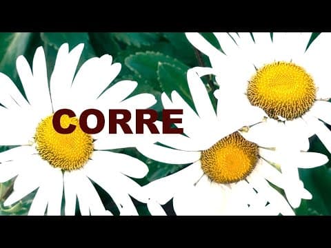 Corre